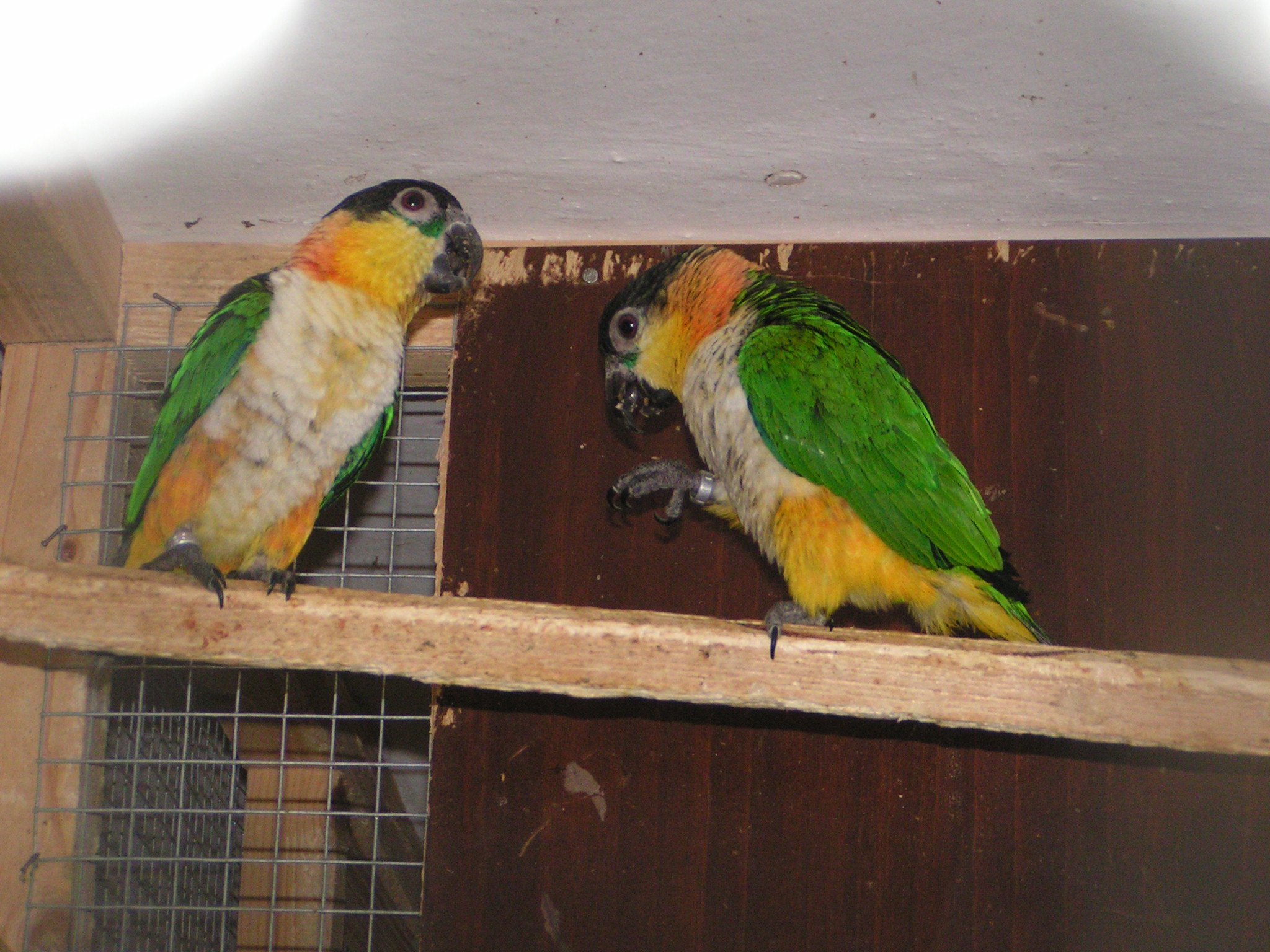 PICT0228.JPG
